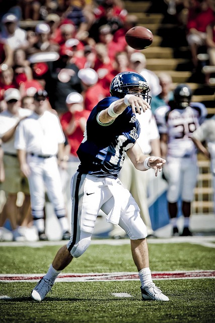 在詹姆斯决 在詹姆斯决