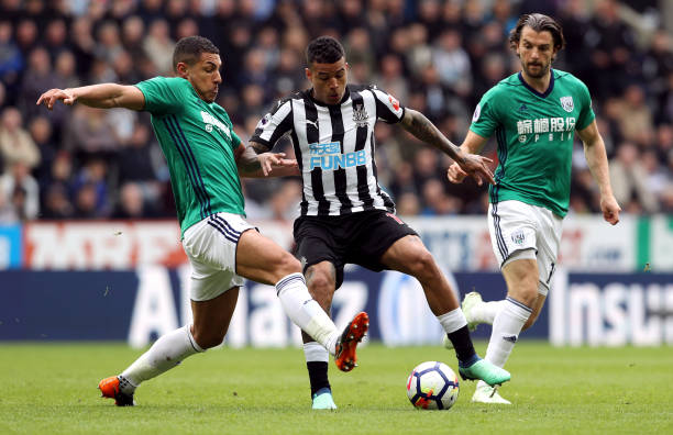 种动态变化 种动态变化