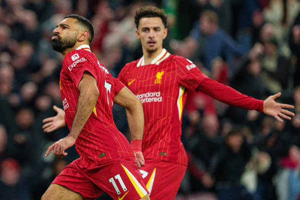 提醒他们无 提醒他们无